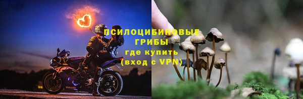 Альфа ПВП Баксан
